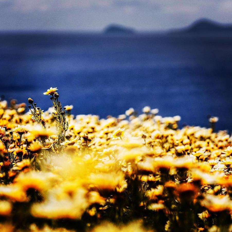 Arcana Santorini Villas, An Authentic Cycladic Experience Akrotiri  Luaran gambar